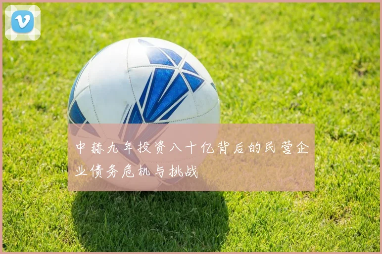 中赫九年投资八十亿背后的民营企业债务危机与挑战