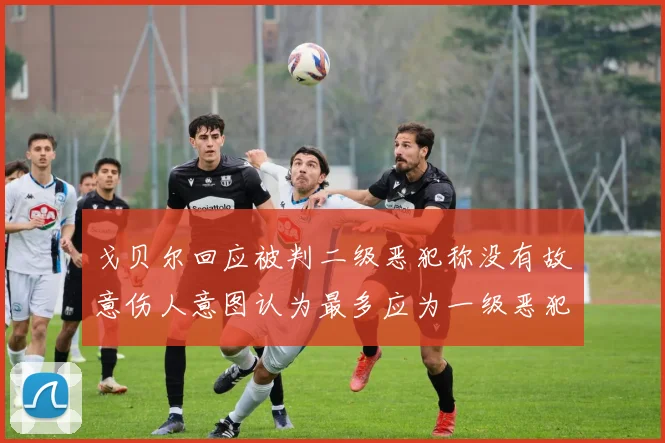 戈贝尔回应被判二级恶犯称没有故意伤人意图认为最多应为一级恶犯