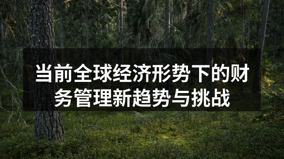 当前全球经济形势下的财务管理新趋势与挑战
