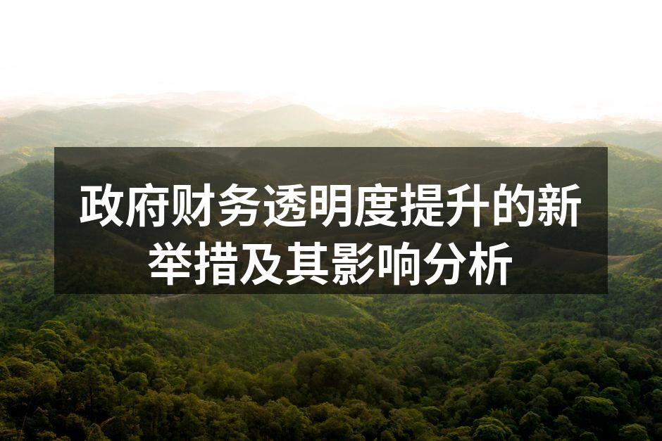 政府财务透明度提升的新举措及其影响分析