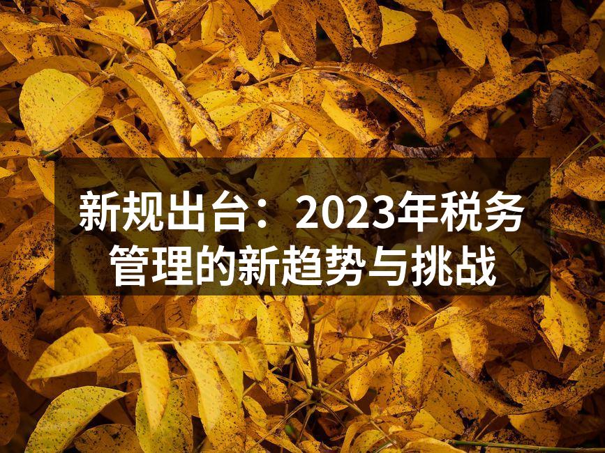 新规出台：2023年税务管理的新趋势与挑